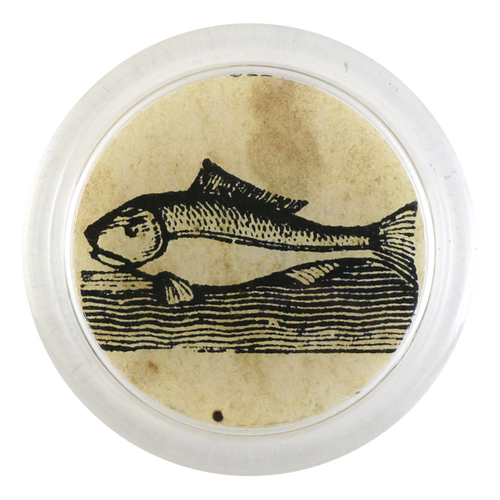 john derian Iconic - Fish 4" Coaster