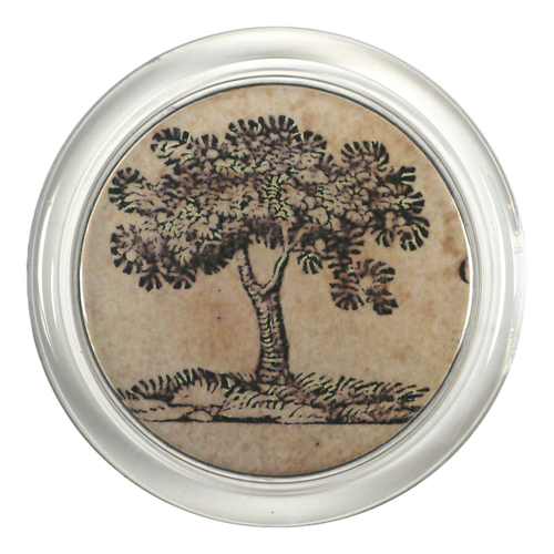 john derian Iconic - Tree 4" Coaster
