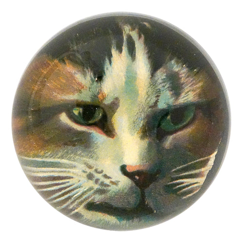 john derian Jack Cat Dome Paperweight