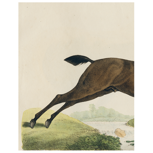 john derian Jumping Horse (p 13) 11" x 14" Rect. Tray