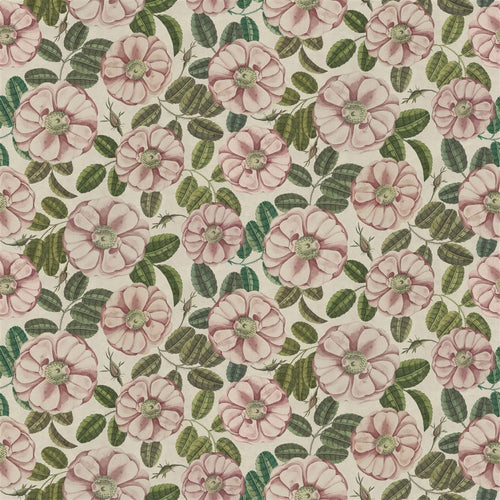 john derian La Rose Rose Fabric
