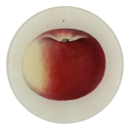 john derian Lady Apple 1 5 1/4" Round Plate