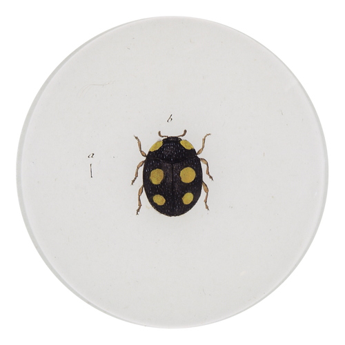 john derian Ladybird (Ladybug) 5 1/4" Round Plate