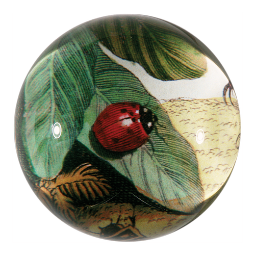 john derian Ladybug Dome Paperweight