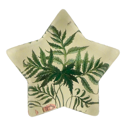 john derian Leaf (Polypodium Sensibile) Star Charm