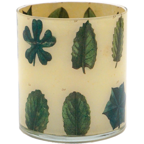 John Derian Leaf Specimen Desk Cup