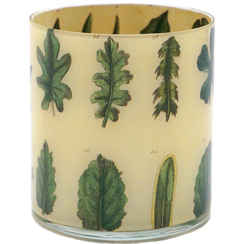 John Derian Leaf Specimen Desk Cup