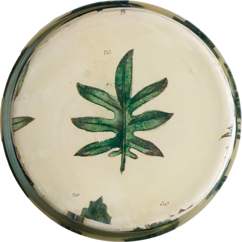 John Derian Leaf Specimen Desk Cup