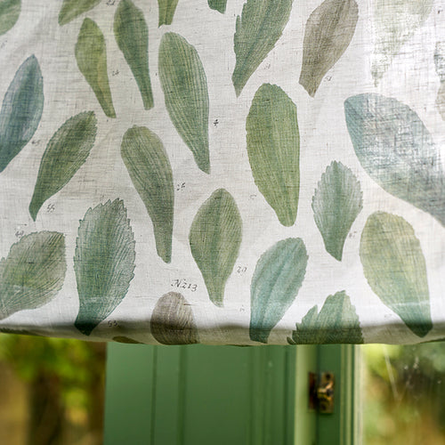 John Derian Leaf Specimens Thyme Fabric Fabric