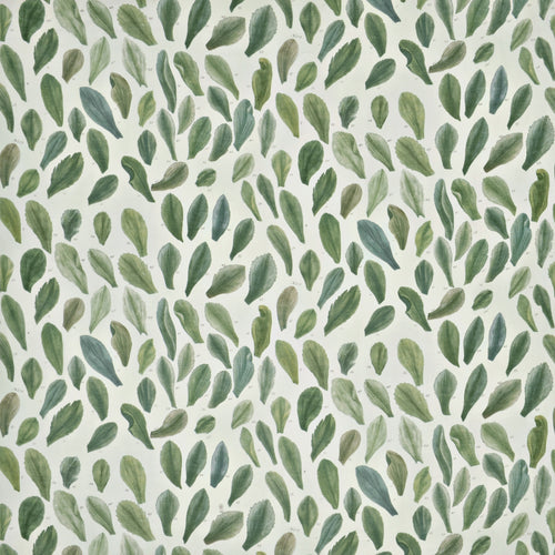 john derian Leaf Specimens Thyme Fabric Fabric