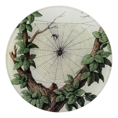 john derian Leafy Web 5 1/4" Round Plate