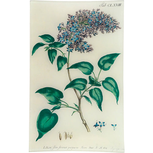 john derian Lilac 10 x 16" Rect. Tray