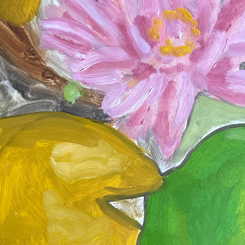 John Derian Lily Pond Hugo Guinness Original