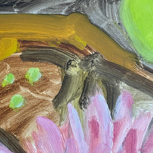 John Derian Lily Pond Hugo Guinness Original