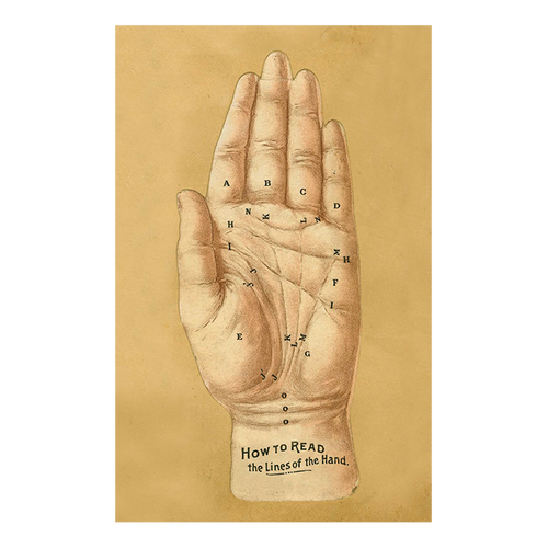 john derian Lines of the Hand Postcard (Pack of 10)