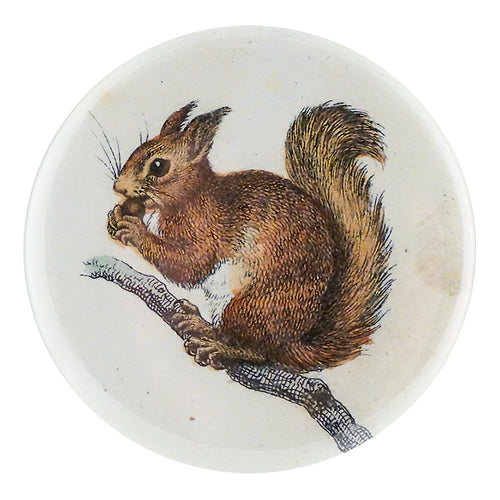 john derian Little Baby Squirrel Mirror & Pin