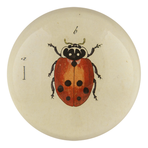 john derian Little Ladybug Dome Paperweight