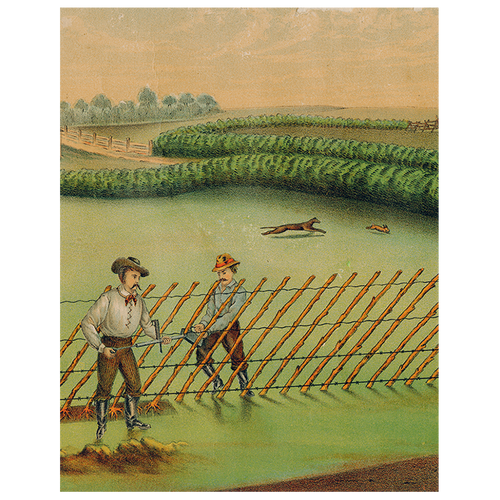 john derian Live Hedge (p 247) 11" x 14" Rect. Tray