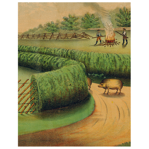 john derian Live Hedge (p 248) 11" x 14" Rect. Tray