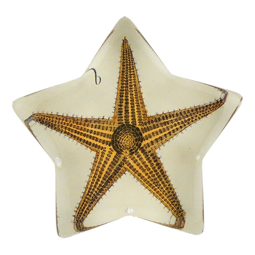 john derian Longpoint Starfish Star Charm