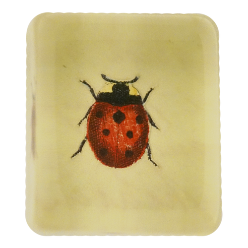 john derian Lucky Ladybug Rectangular Charm