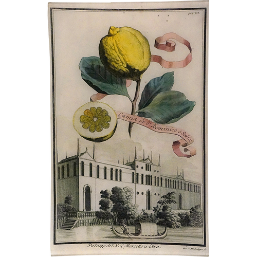 john derian Lumia 18c. Lemon 10 x 16" Rect. Tray