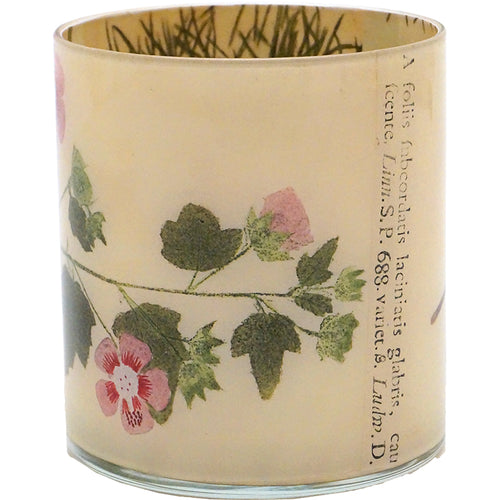 John Derian Malva Desk Cup