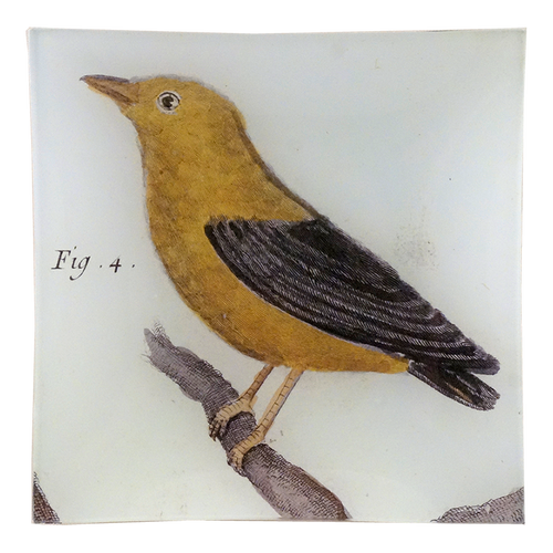 john derian Manakin Un Vide Poche (6" Square)