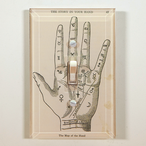john derian Map of the Hand Switch Plate Cover