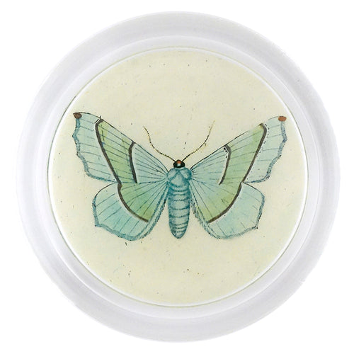 john derian Margaritaria (Butterfly) 6" Coaster