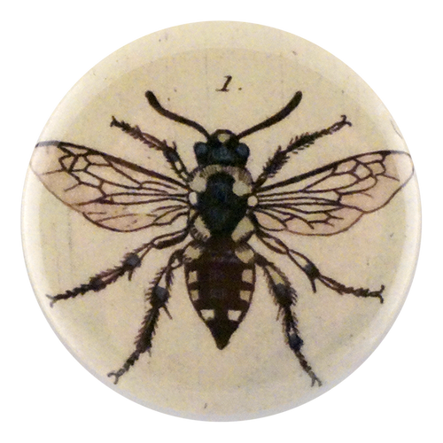 john derian Melecta Bee Mirror & Pin