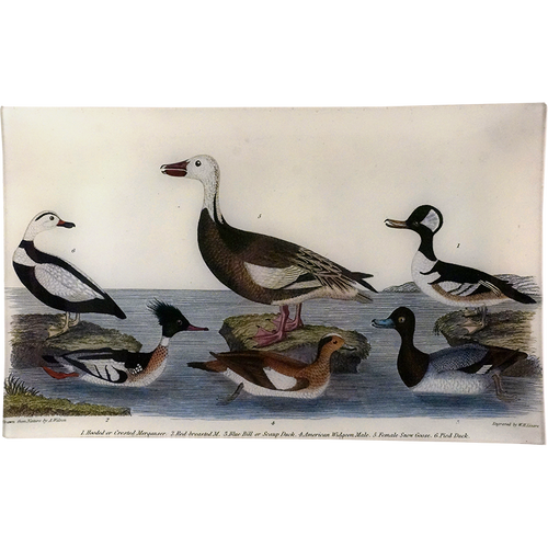 john derian Merganser 10 x 16" Rect. Tray