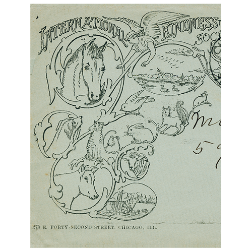 john derian Miss Eliot (p 71) 11" x 14" Rect. Tray