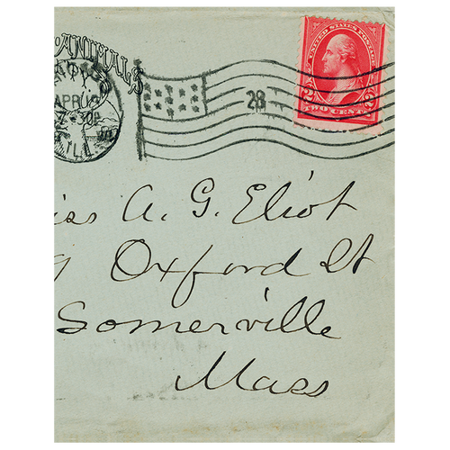 john derian Miss Eliot (p 72) 11" x 14" Rect. Tray