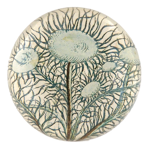 john derian Moss Tree Dome Paperweight
