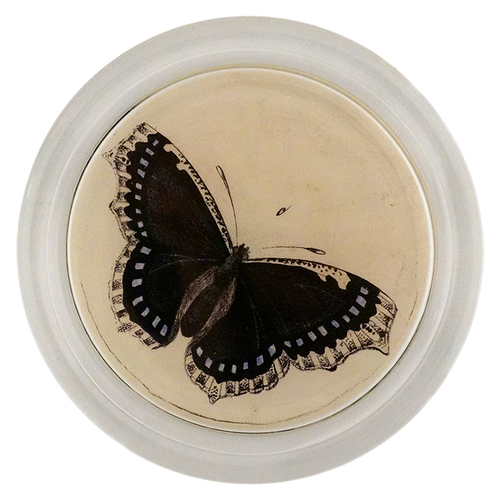 john derian Mourning Cloak Butterfly 6" Coaster