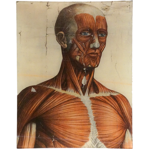 john derian Muscle Head 11 x 14" Rect. Tray