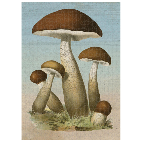 John Derian Mushrooms 750-Piece Puzzle