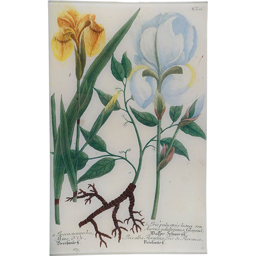 john derian N. 606 Yellow Iris 10" x 16" Rect. Tray