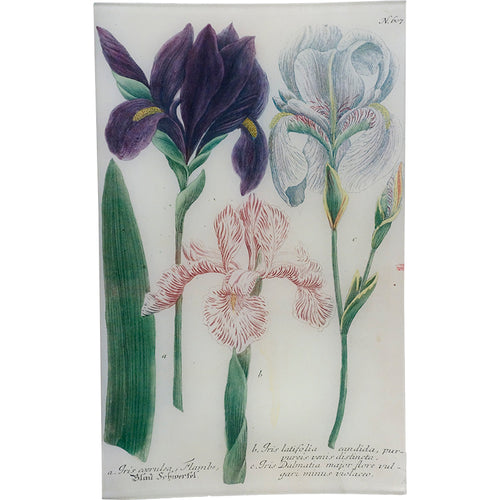 john derian N. 607 Flamed Iris 10" x 16" Rect. Tray