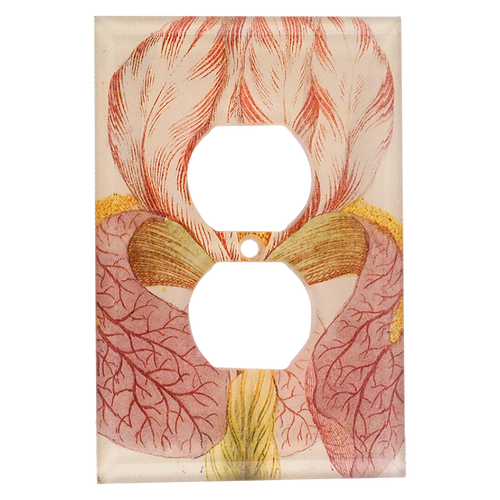 john derian N. 608 English Iris Outlet Plate Cover