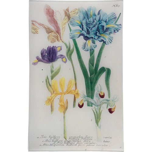 john derian N. 609 Spanish Iris 10" x 16" Rect. Tray