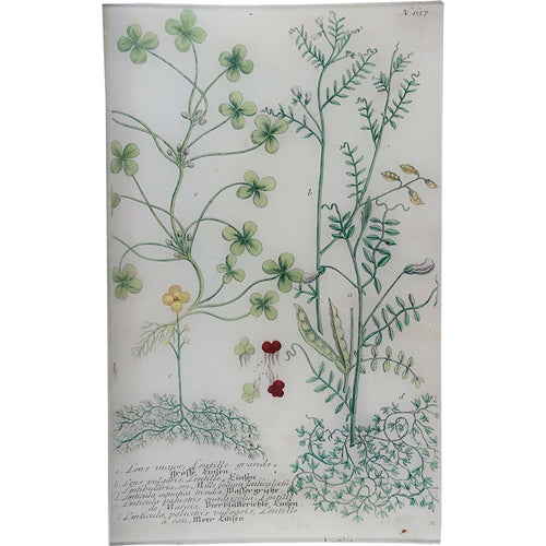 john derian N. 637 Lentille 10" x 16" Rect. Tray