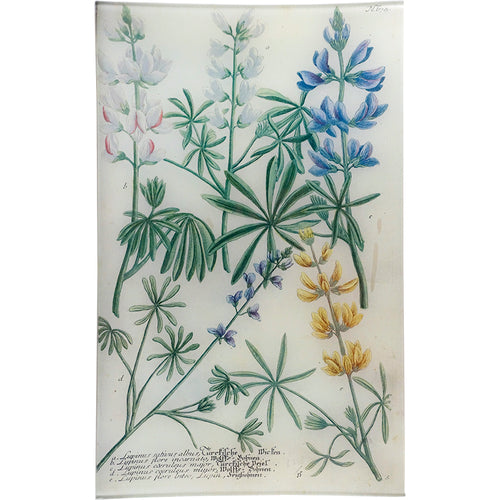 john derian N. 674 Lupine 10" x 16" Rect. Tray