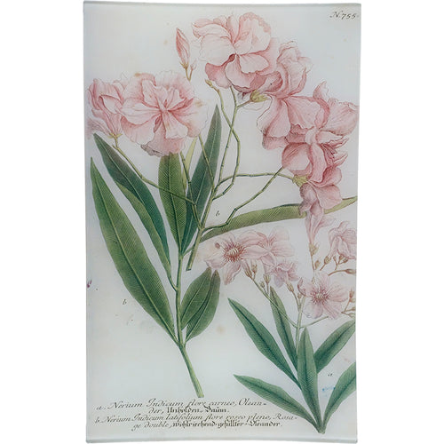 john derian N. 755 Oleander 10" x 16" Rect. Tray