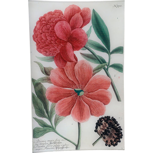 john derian N. 778 Red Peony 10" x 16" Rect. Tray