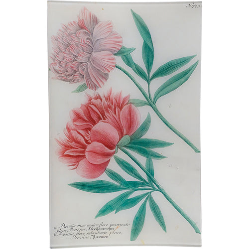 john derian N. 779 Peony 10" x 16" Rect. Tray