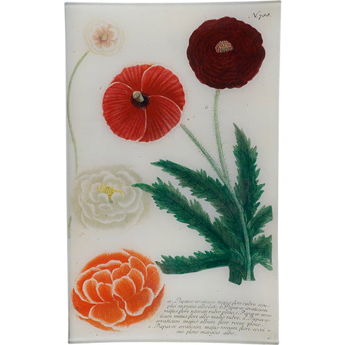 john derian N. 788 Dark Red Poppy 10" x 16" Rect. Tray