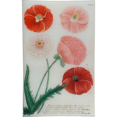 john derian N. 790 Pink Poppy 10" x 16" Rect. Tray