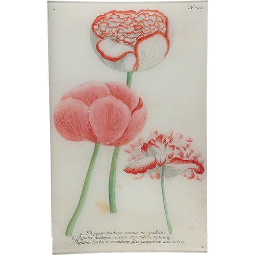 john derian N. 792 Red Trim Poppy 10" x 16" Rect. Tray